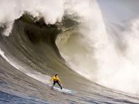 FB体育官网-特奥·埃尔南德斯，从伊斯坦布尔到墨西哥城的节奏大师