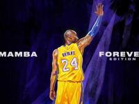 FB体育赛事-荷兰节奏掌控爱尔兰，德里赫特如何成为橙衣军团的关键先生