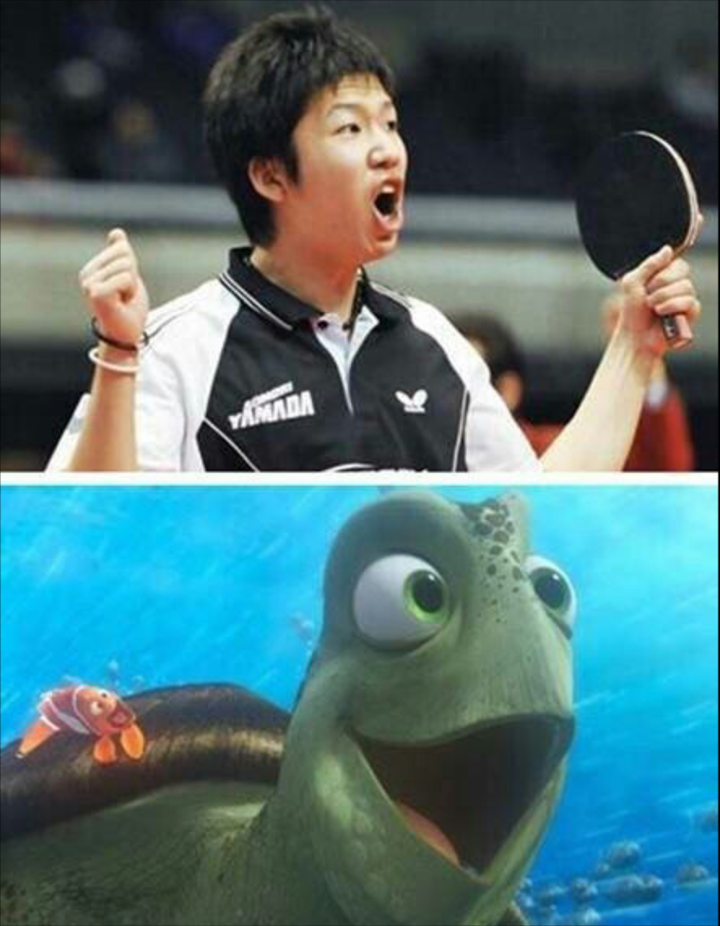 法国乒乓球队力克德国乒乓球队，水谷隼爆发神勇的简单介绍